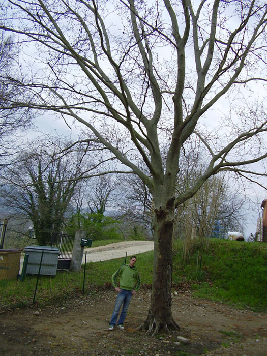 20070402_02