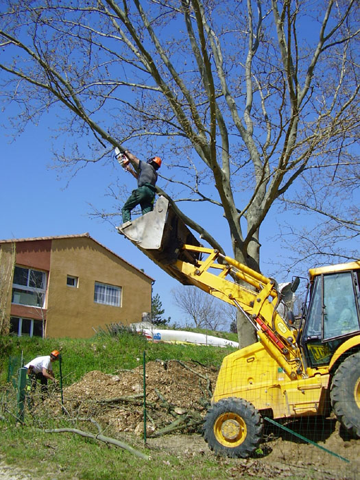 20070405_06