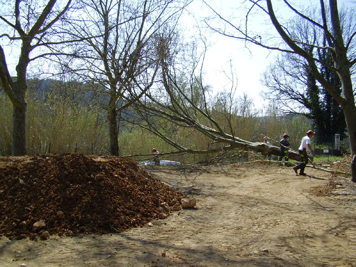 20070405_09