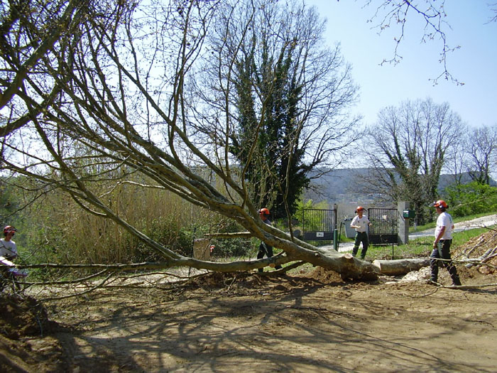 20070405_10