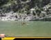 20080604raid103nm9
