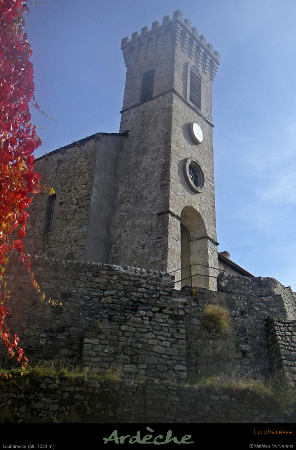 20081017_28