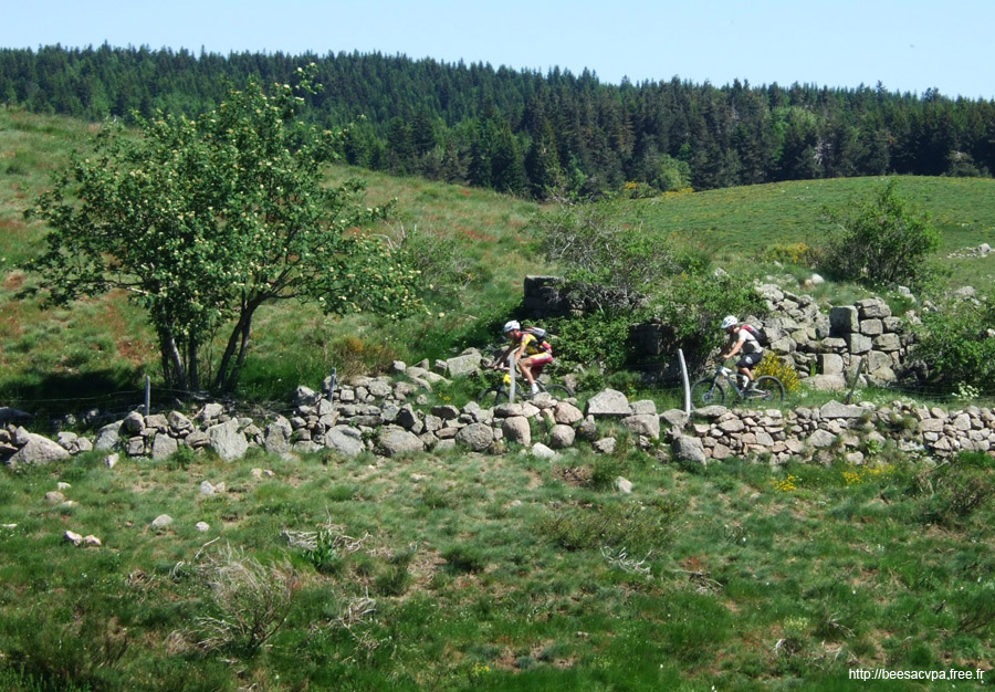 20090529052