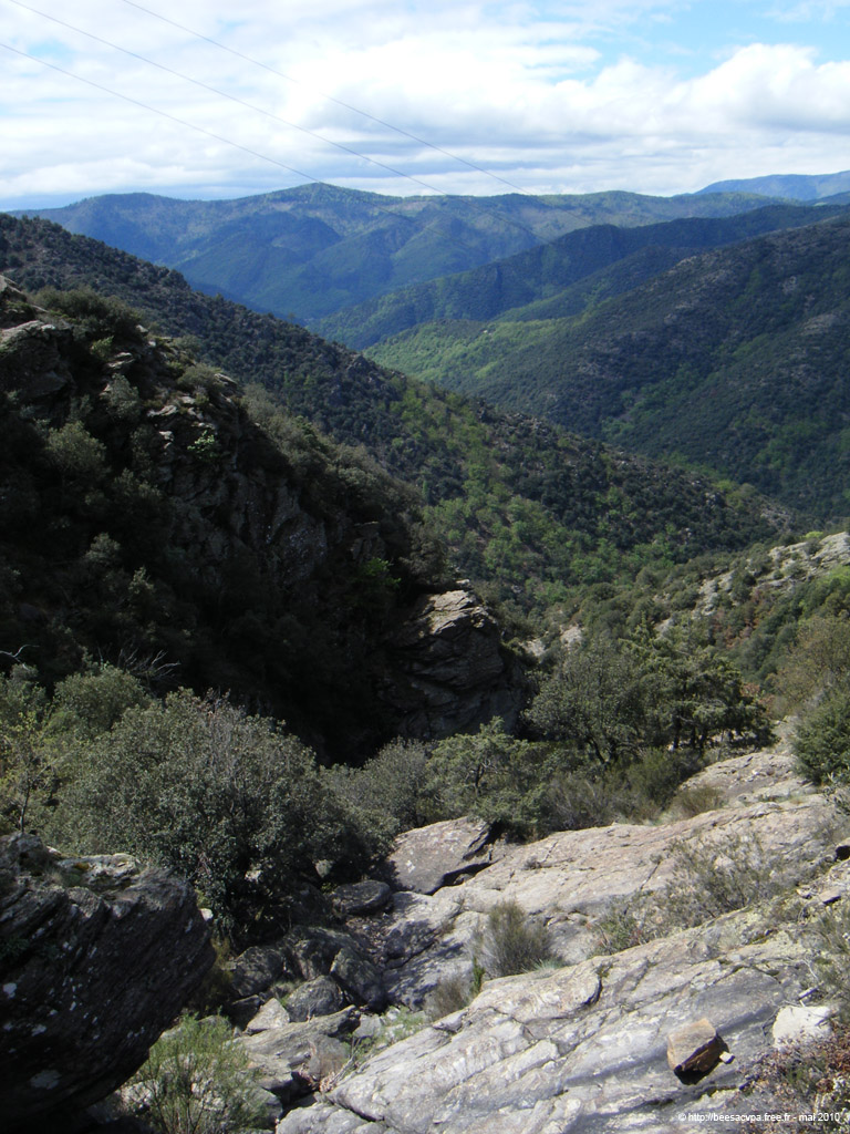 20100506c09