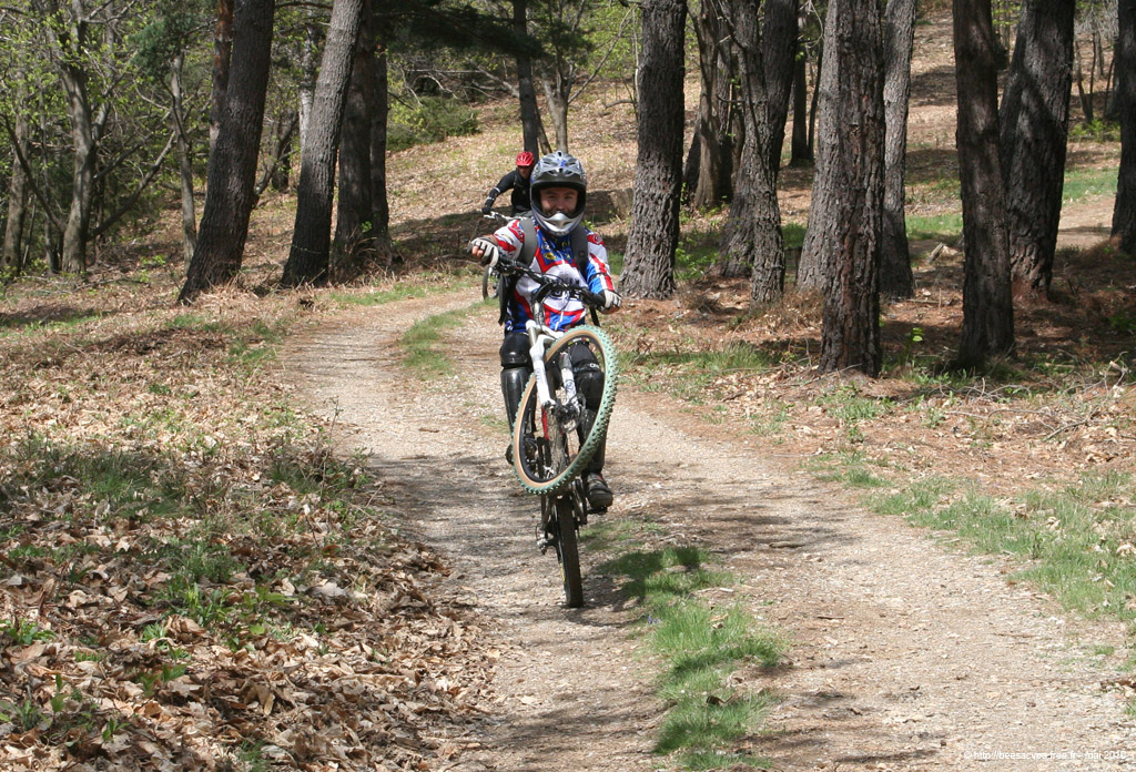 20100506h001