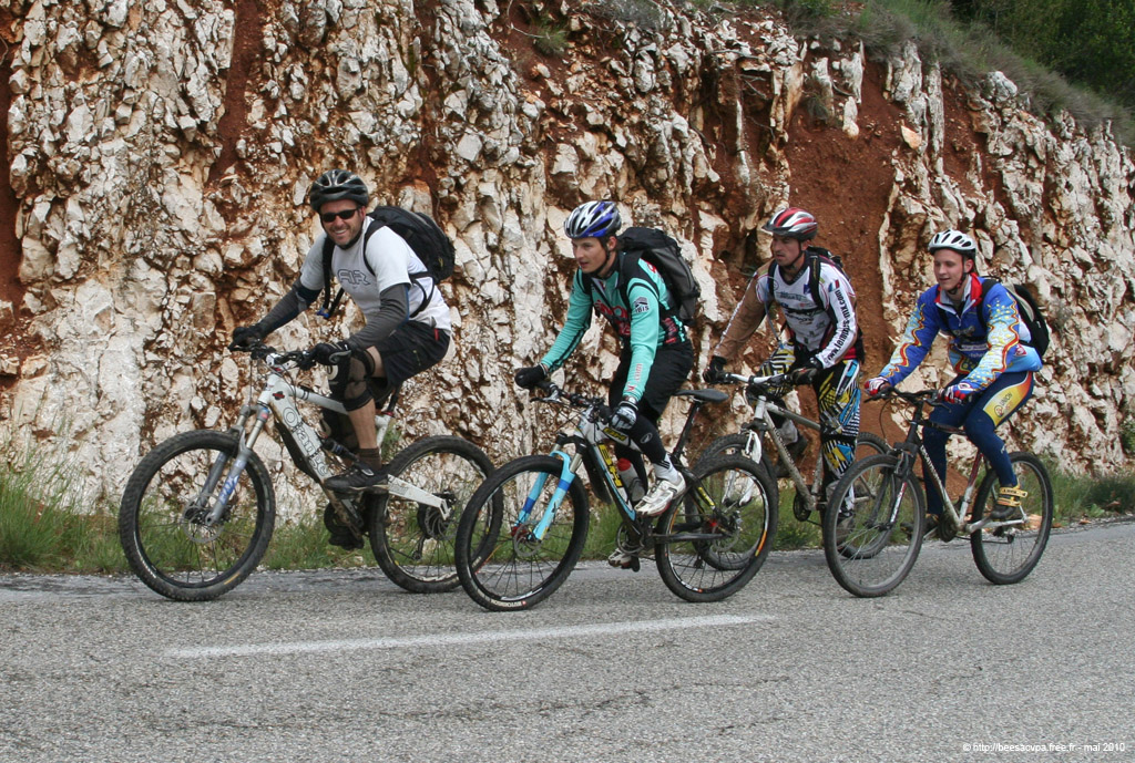 20100504_036