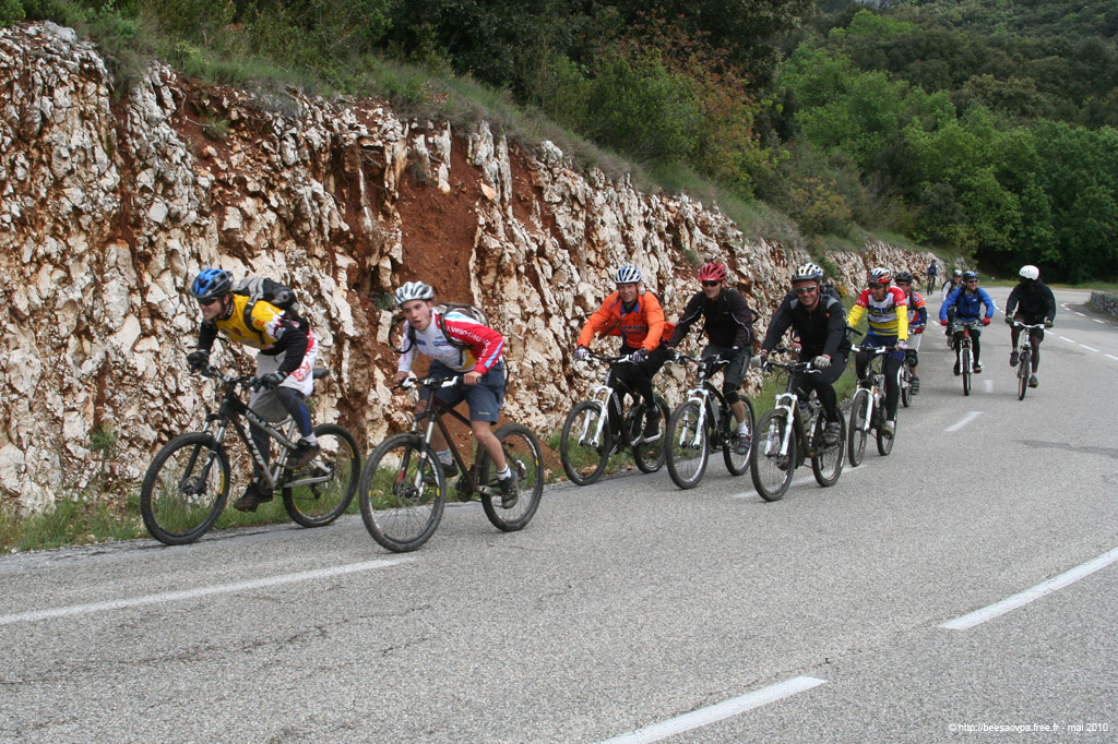 20100504_039
