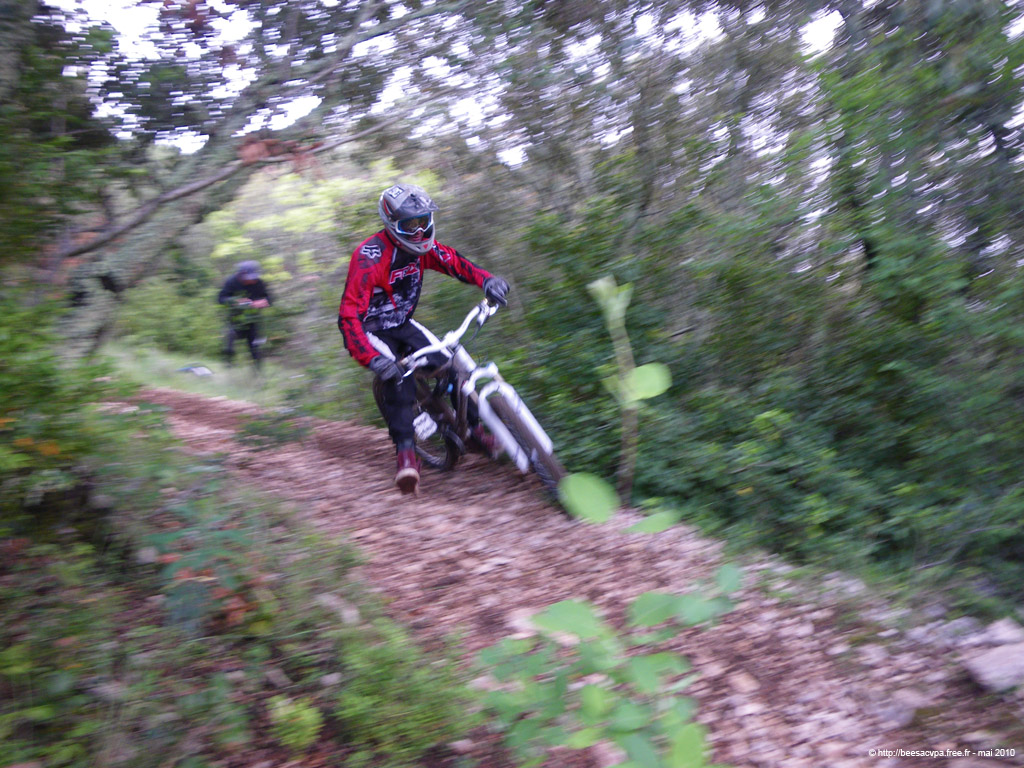20100504_079