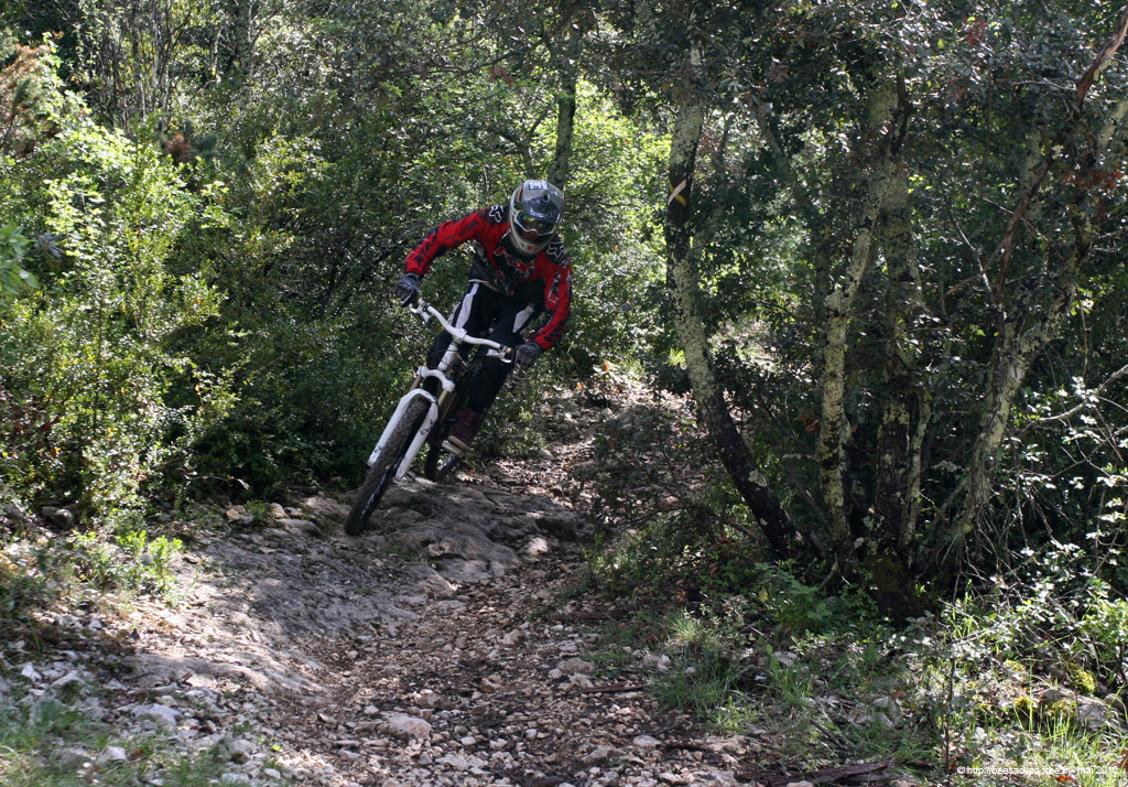 20100504_083
