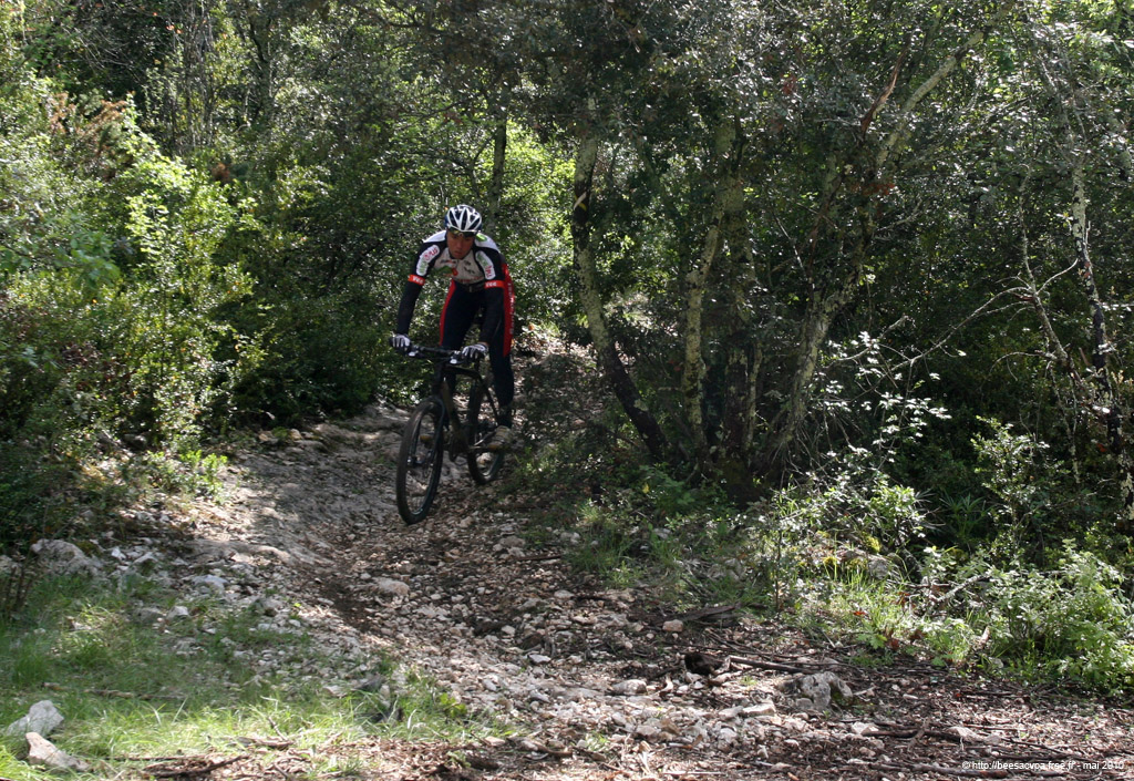 20100504_086