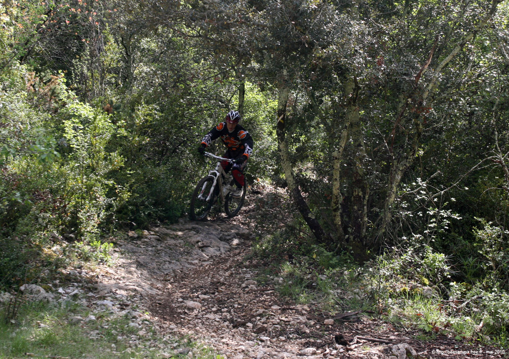20100504_090