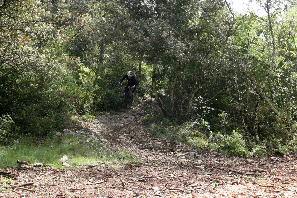 20100504_100