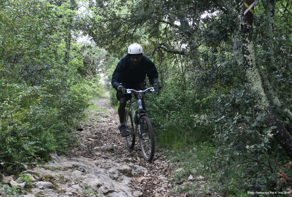 20100504_109
