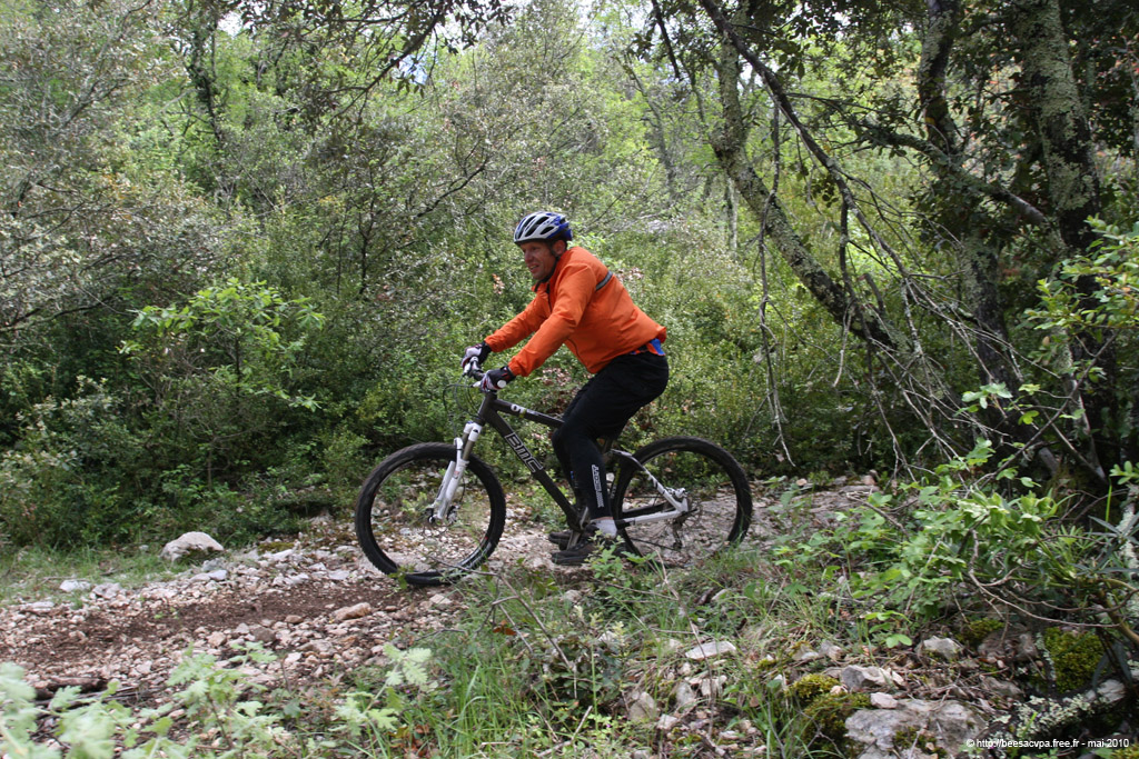 20100504_120