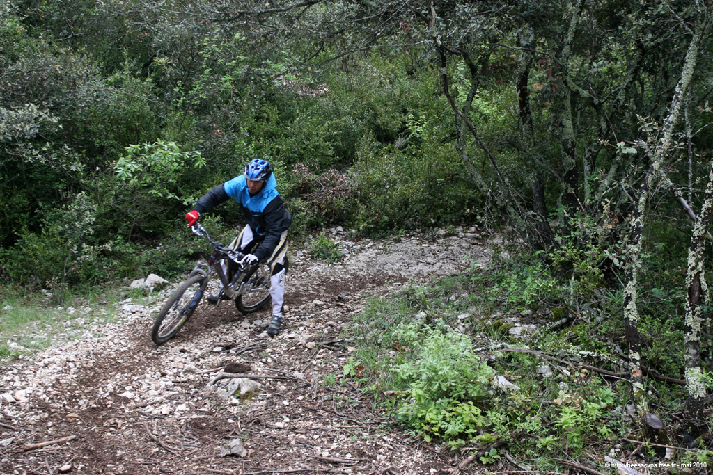 20100504_176