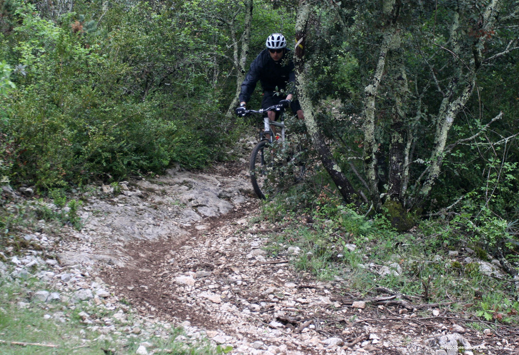 20100504_202