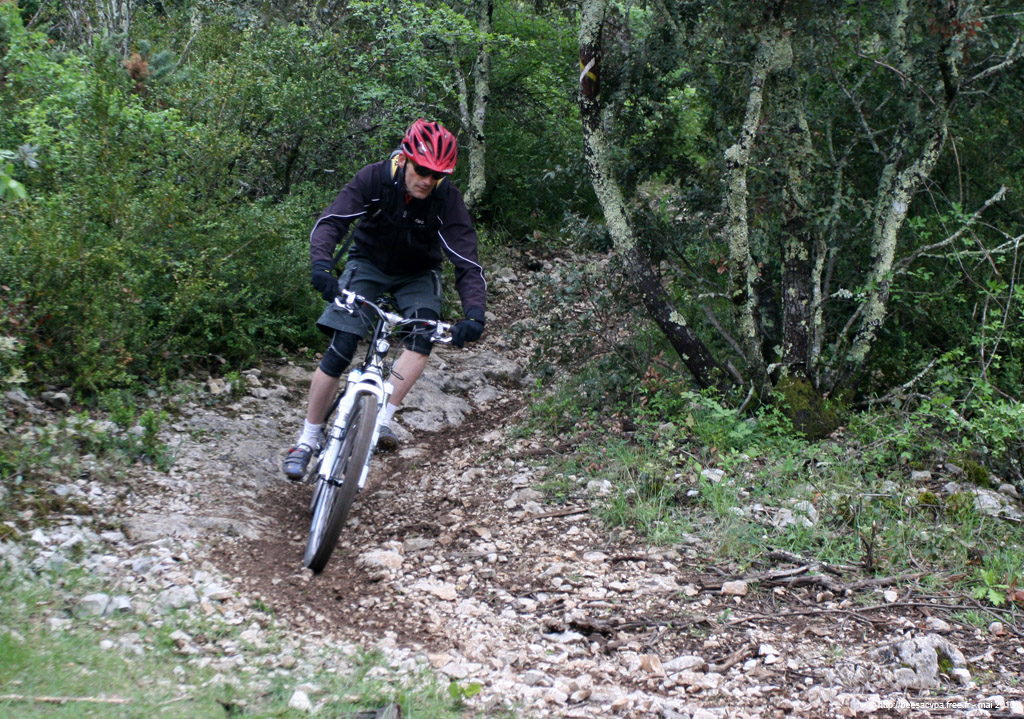 20100504_209