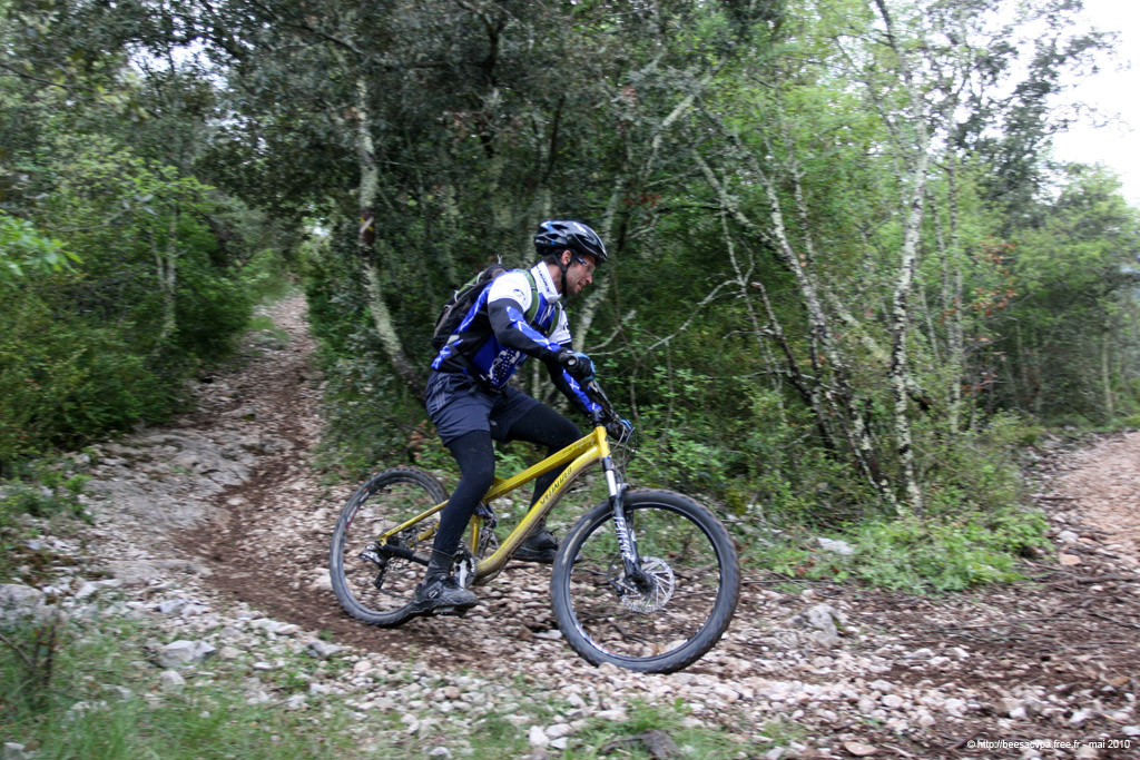 20100504_239