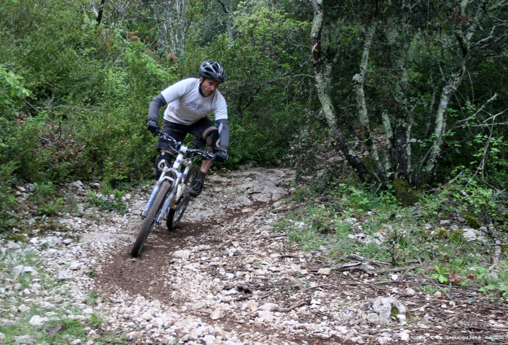 20100504_264