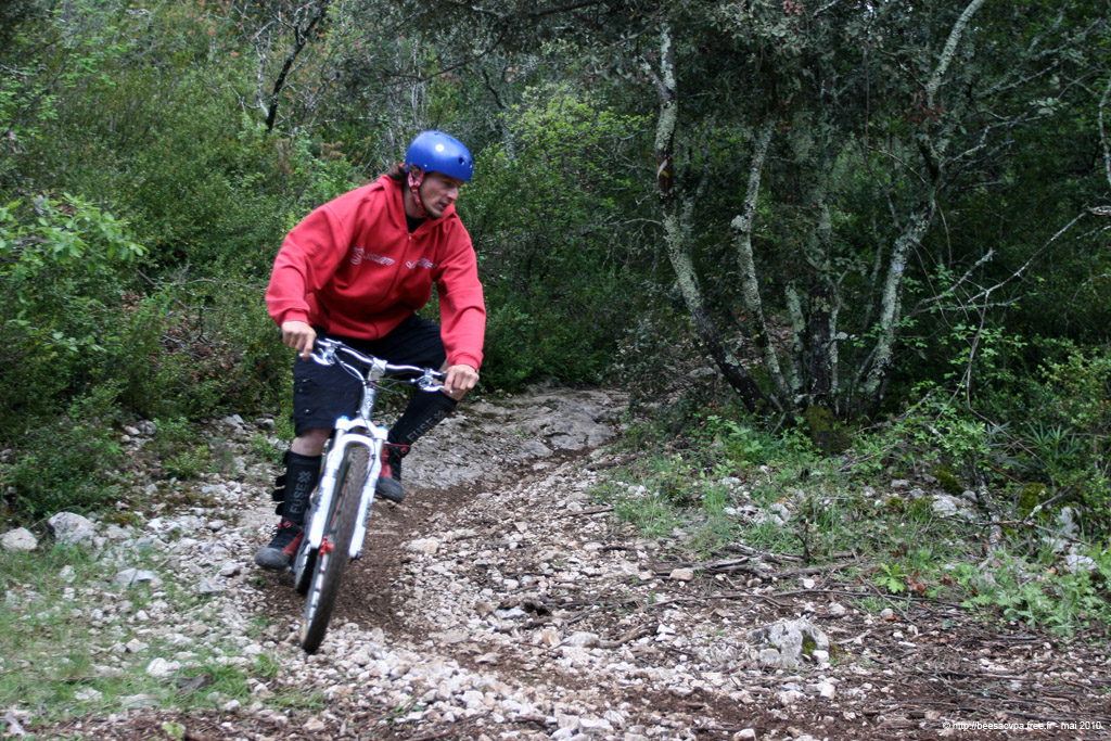 20100504_270