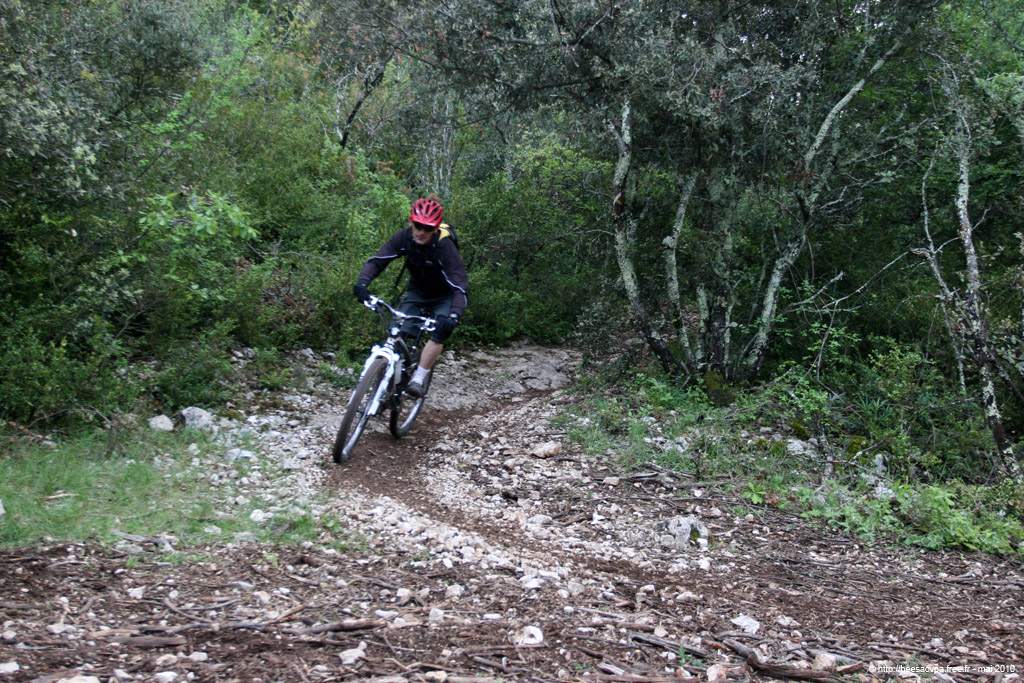 20100504_286