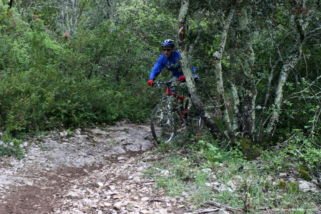 20100504_308