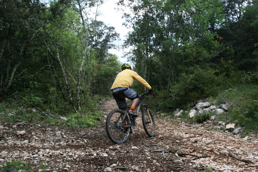 20100504_323
