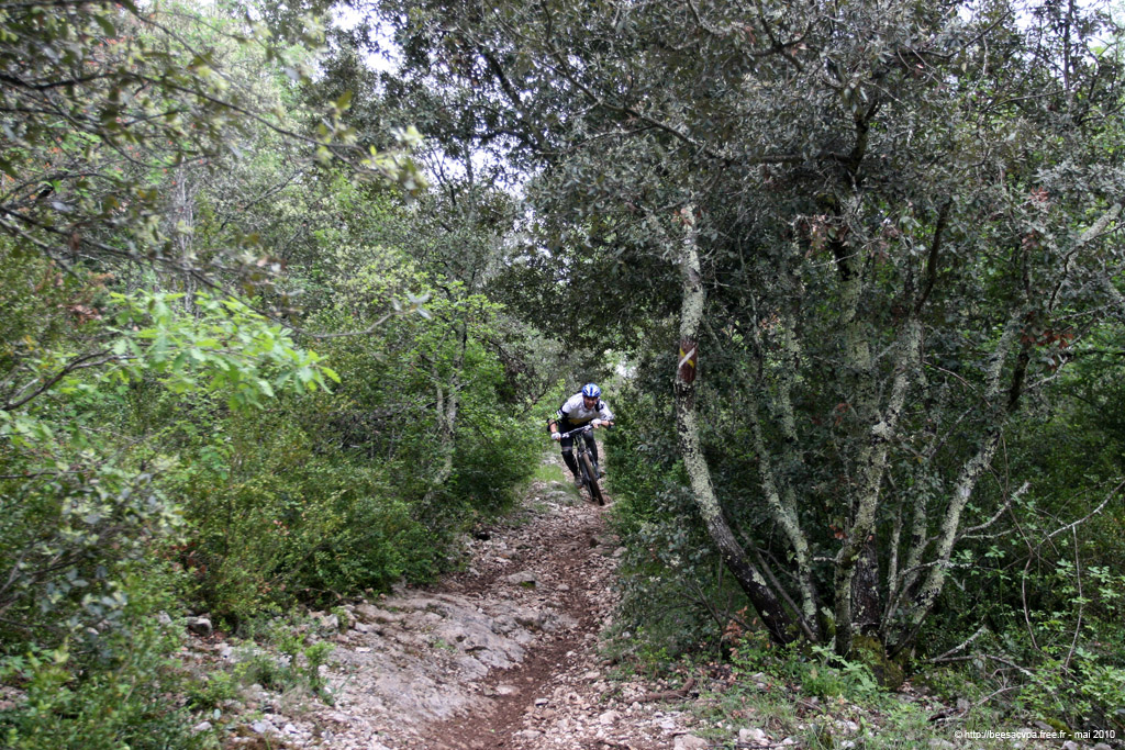 20100504_324