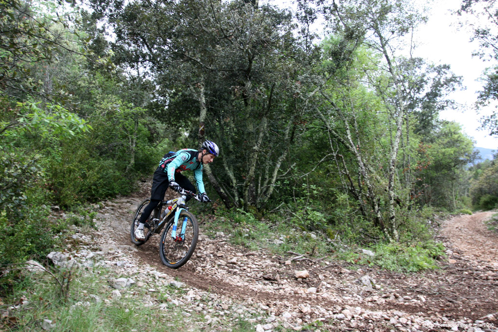 20100504_331