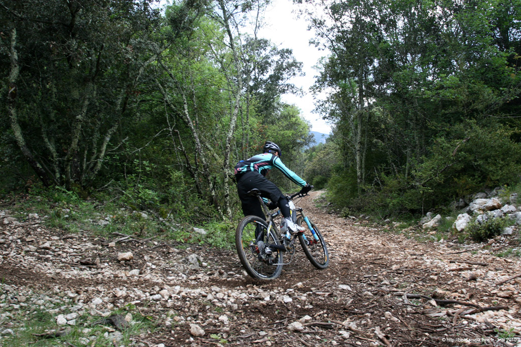 20100504_333