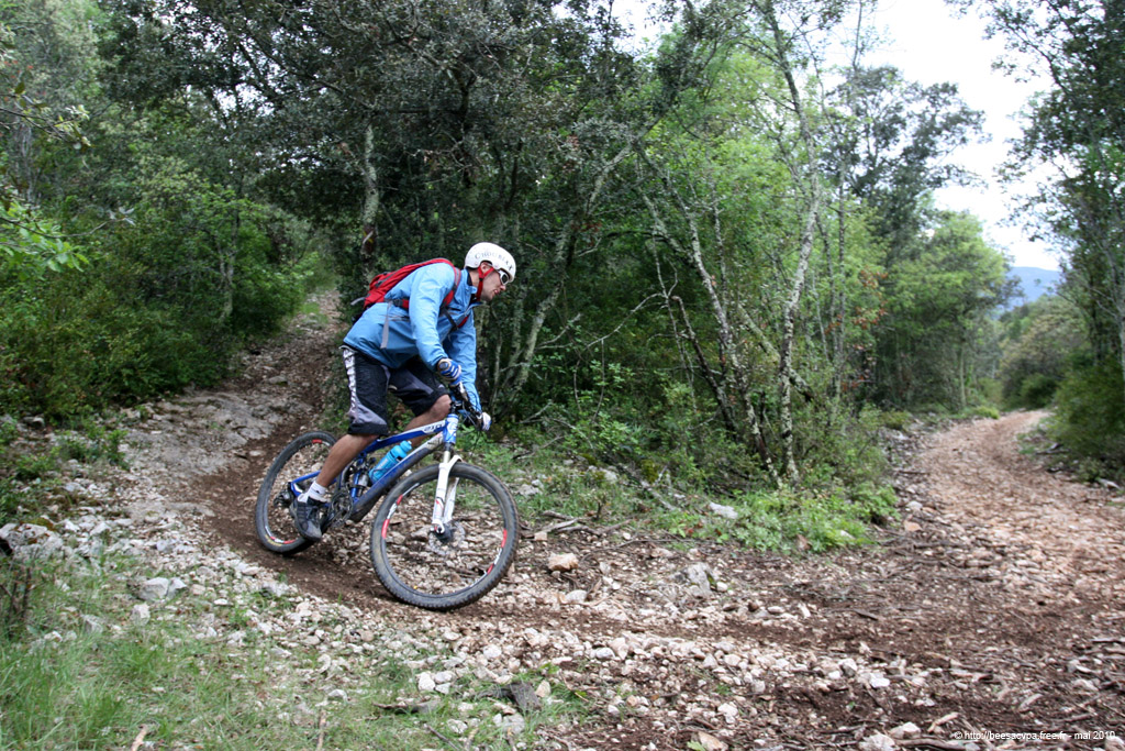 20100504_341