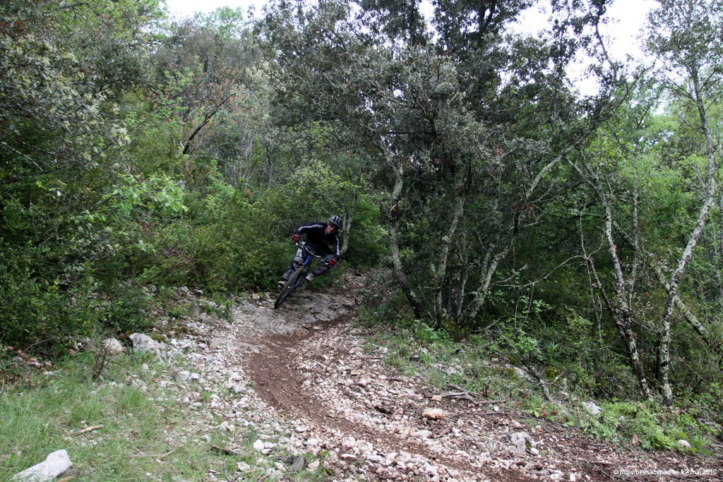 20100504_343