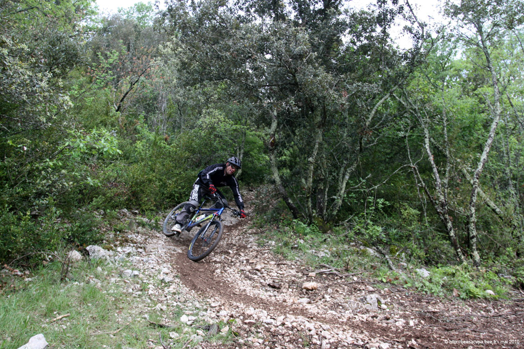 20100504_344
