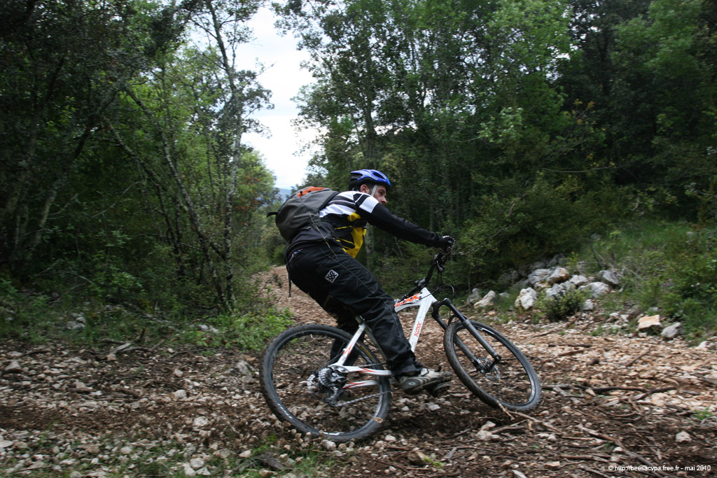 20100504_352