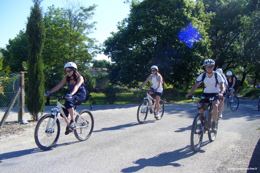 20100521_015