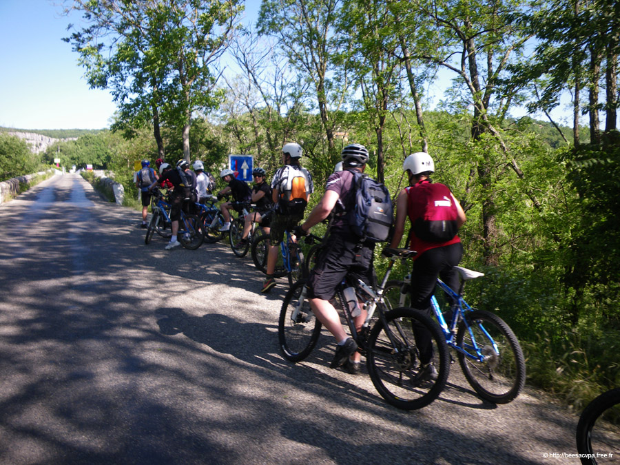 20100521_017