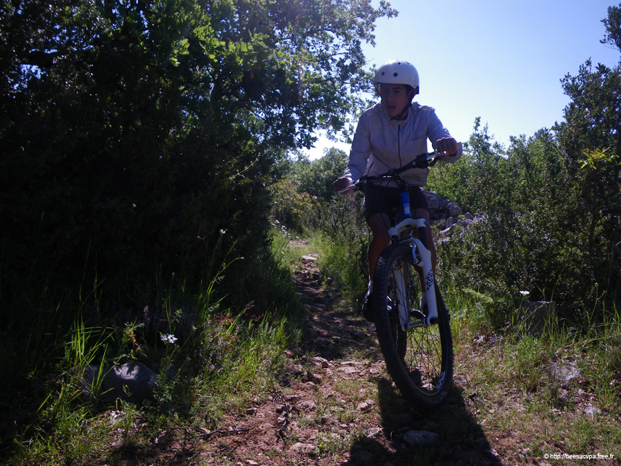 20100521_024