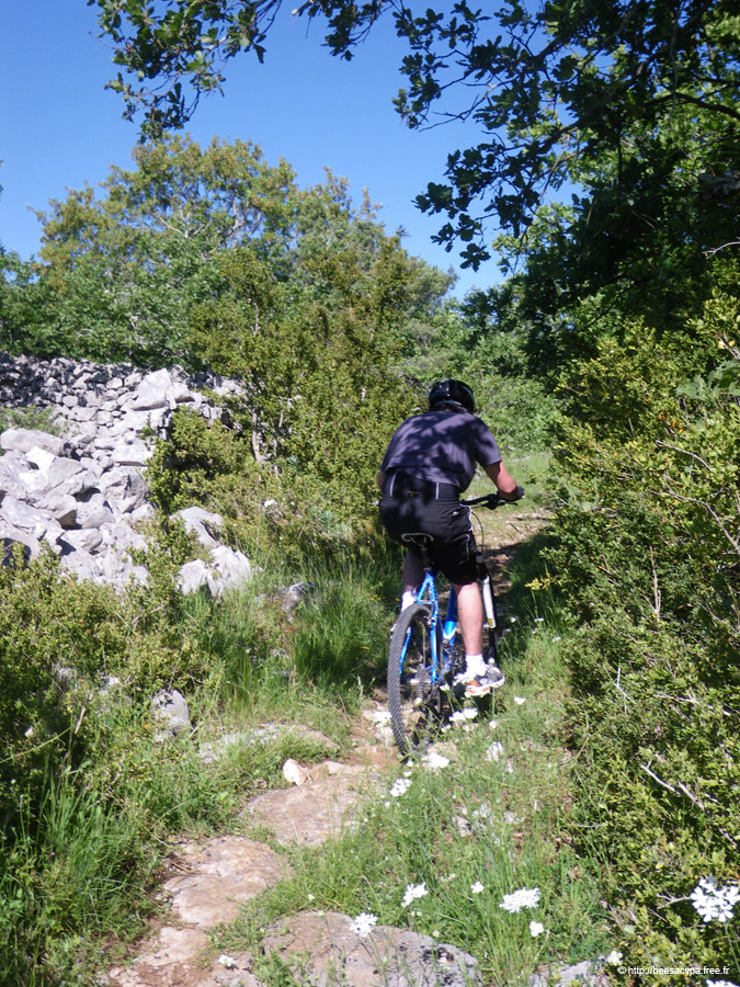 20100521_028