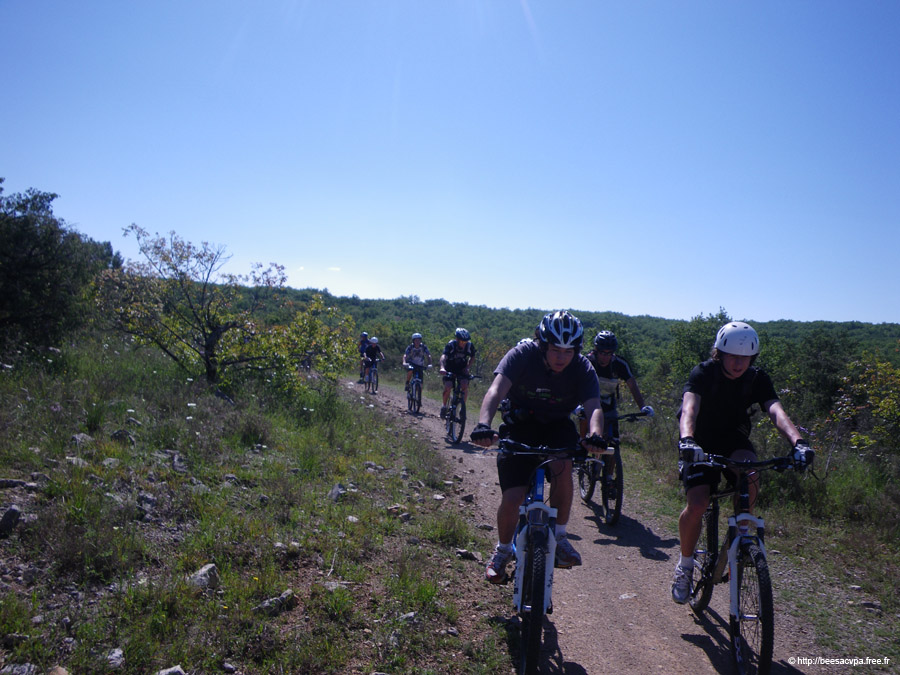 20100521_047