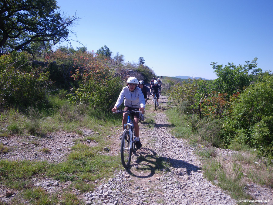 20100521_051