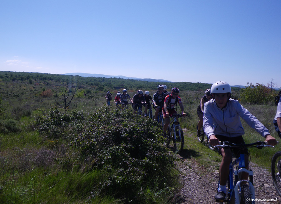 20100521_058