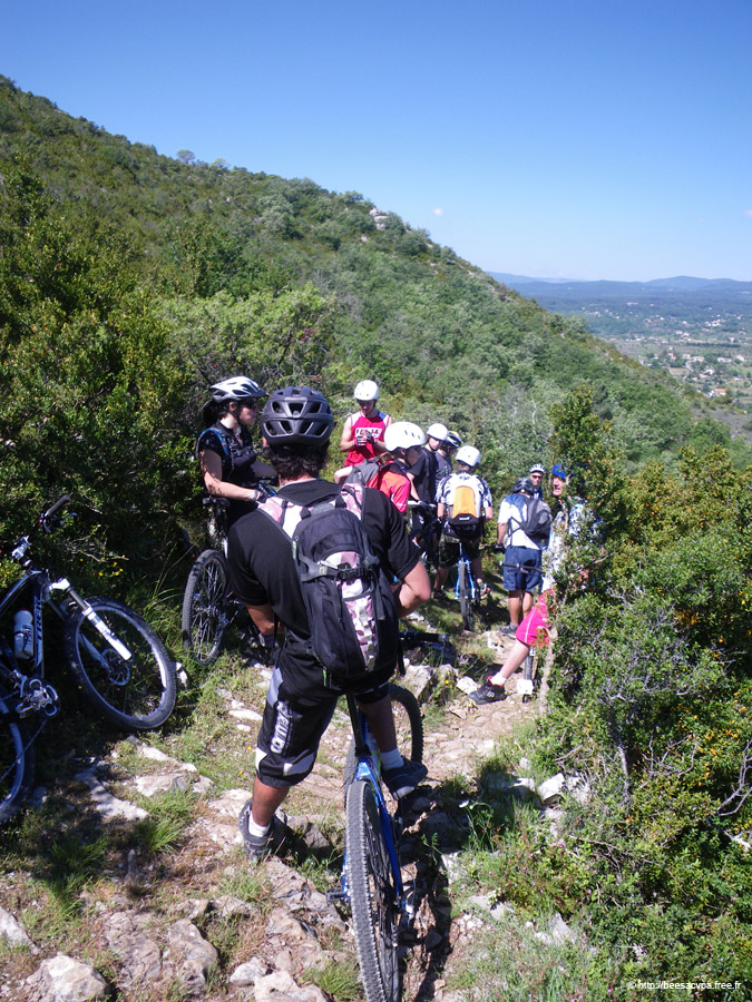 20100521_079
