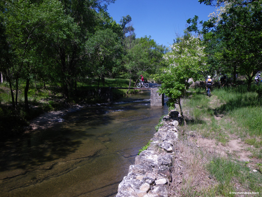 20100521_086