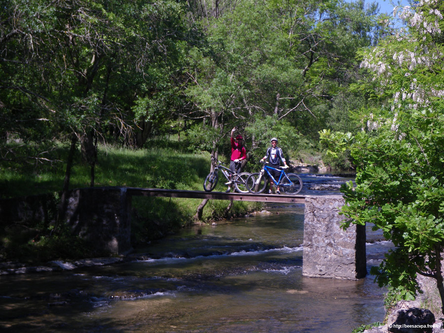20100521_094