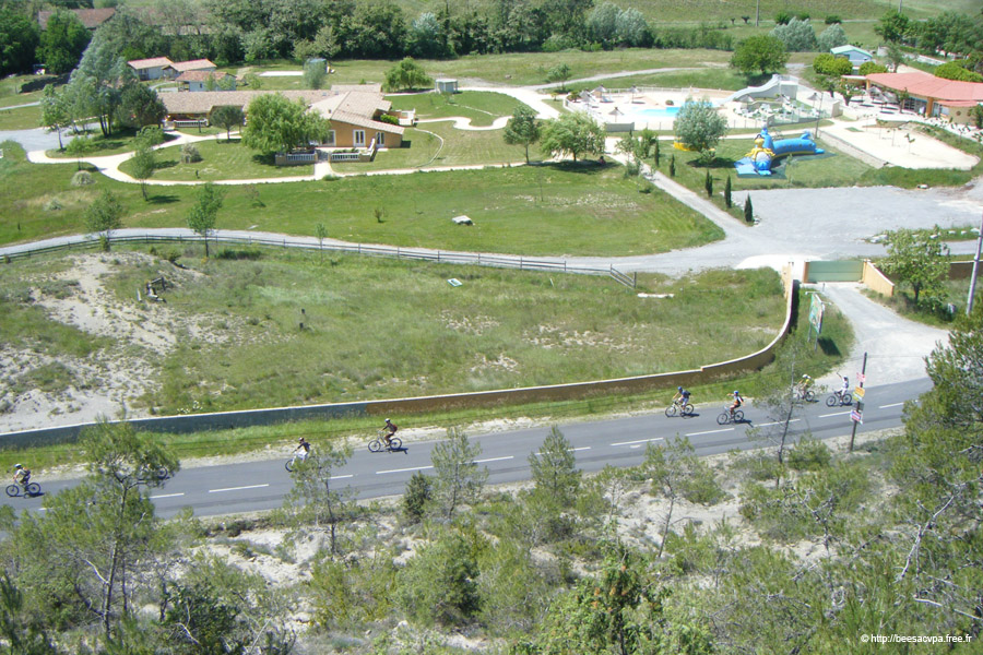 20100521_137