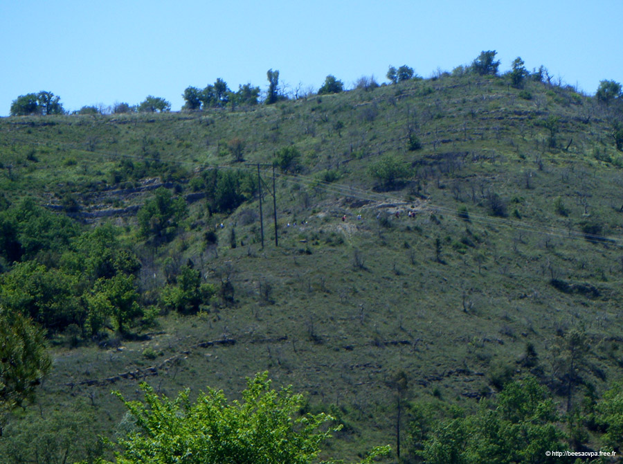 20100521_138