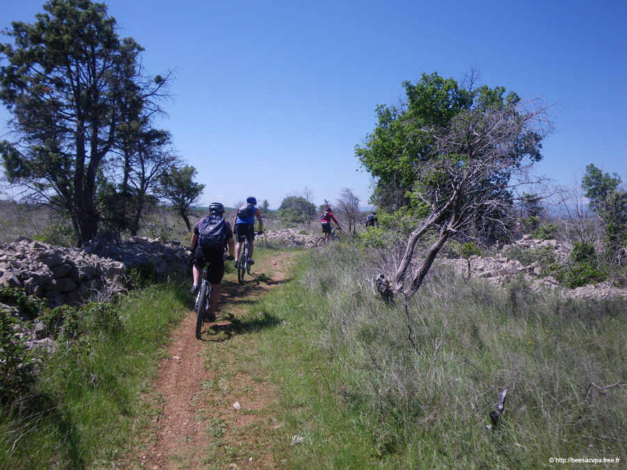 20100521_158