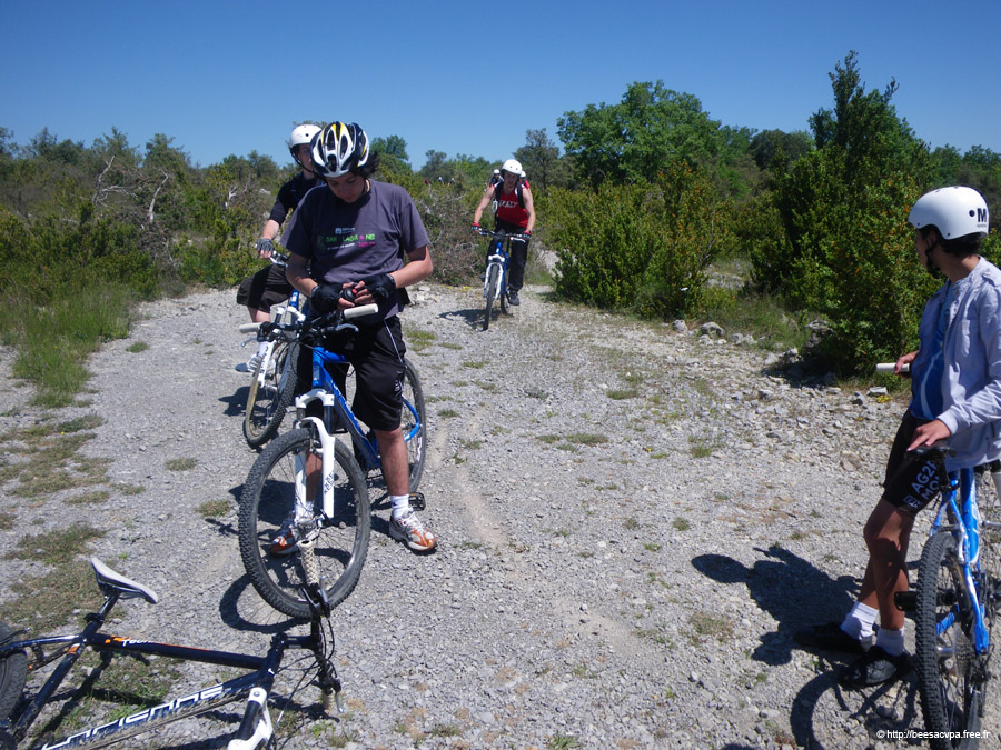 20100521_164