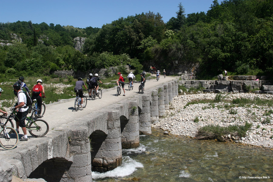 20100521_251