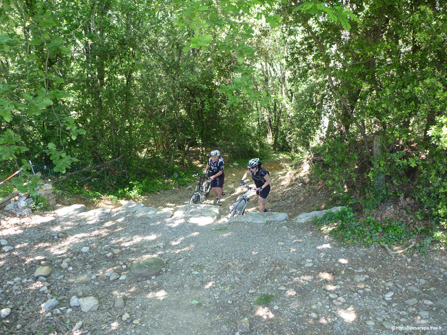 20100521_270